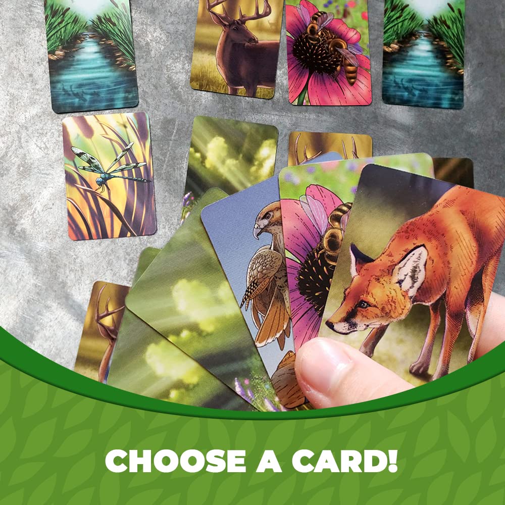 Genius Games Ecosystem Card Game - Build Habitats, Learn Ecology & Biodiversity, Green, Model 6050
