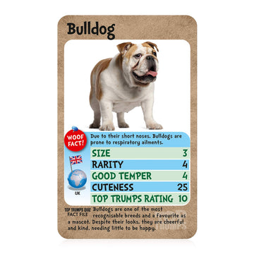 Top Trumps Card Game Dogs - Family Games for Kids and Adults - Learning Games - Kids Card Games for 2 Players and more - Kid War