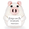 Maziky Funny Positive Pig Cute Crochet Pig Decor With Positive Affirmations Cards For Cheer Up Novelty Gifts