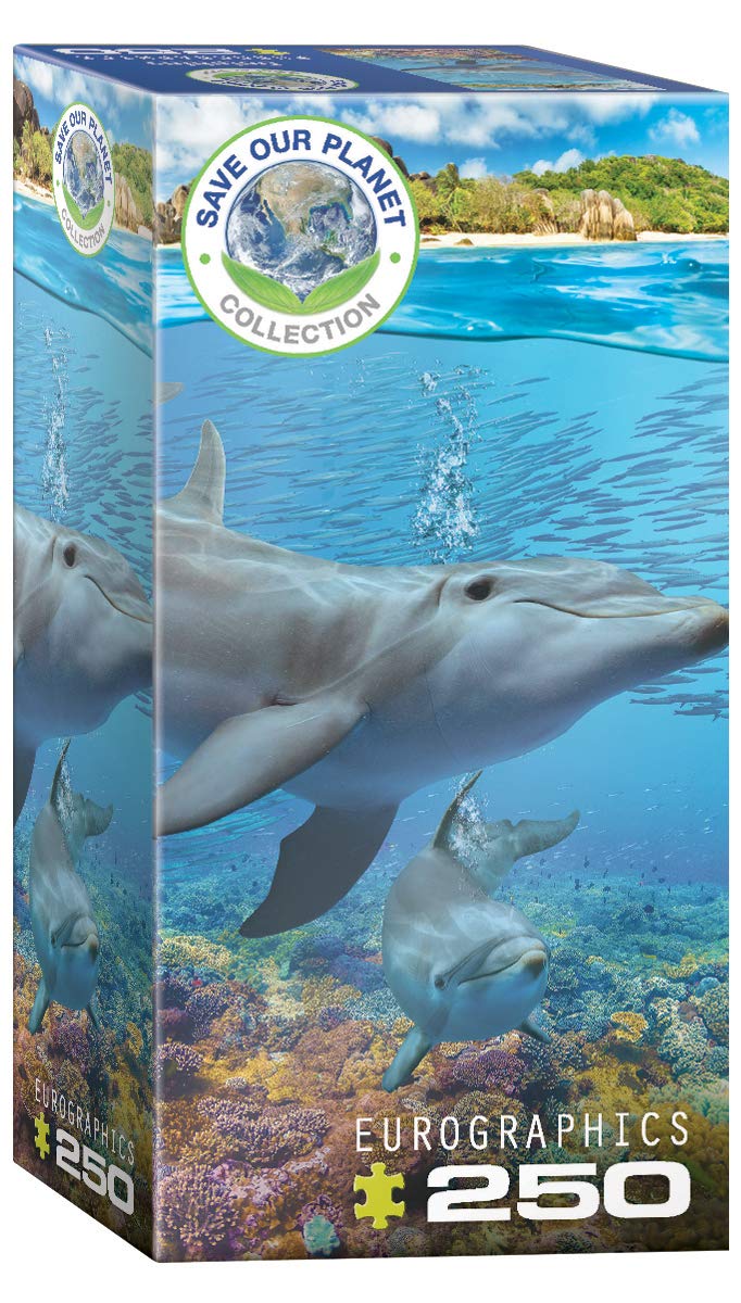 Dolphins
