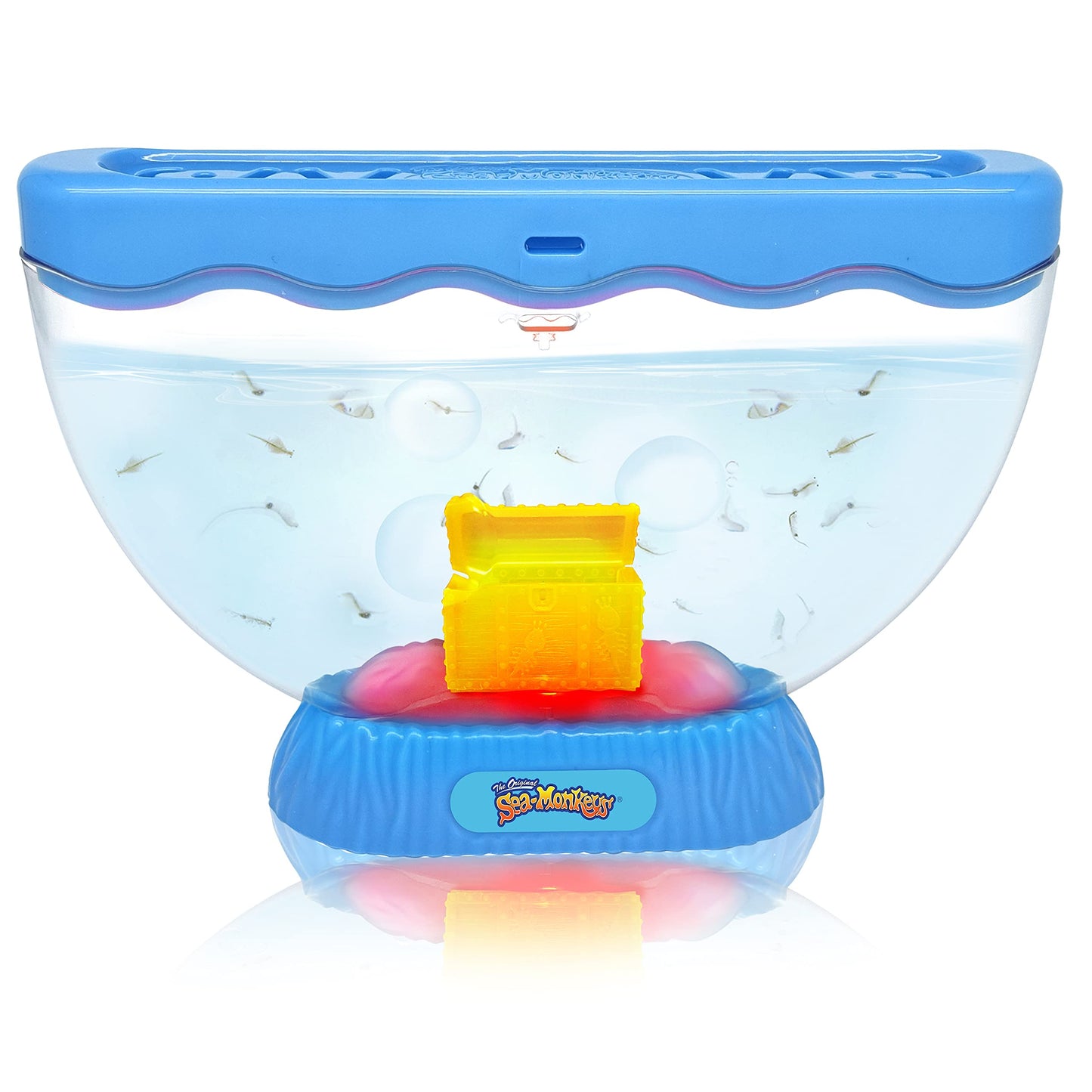 The Original Sea Monkeys - Ocean Treasure Aquarium - Grow Your Own Pets Educational Science Kit - Amazing Science Experiments Fo