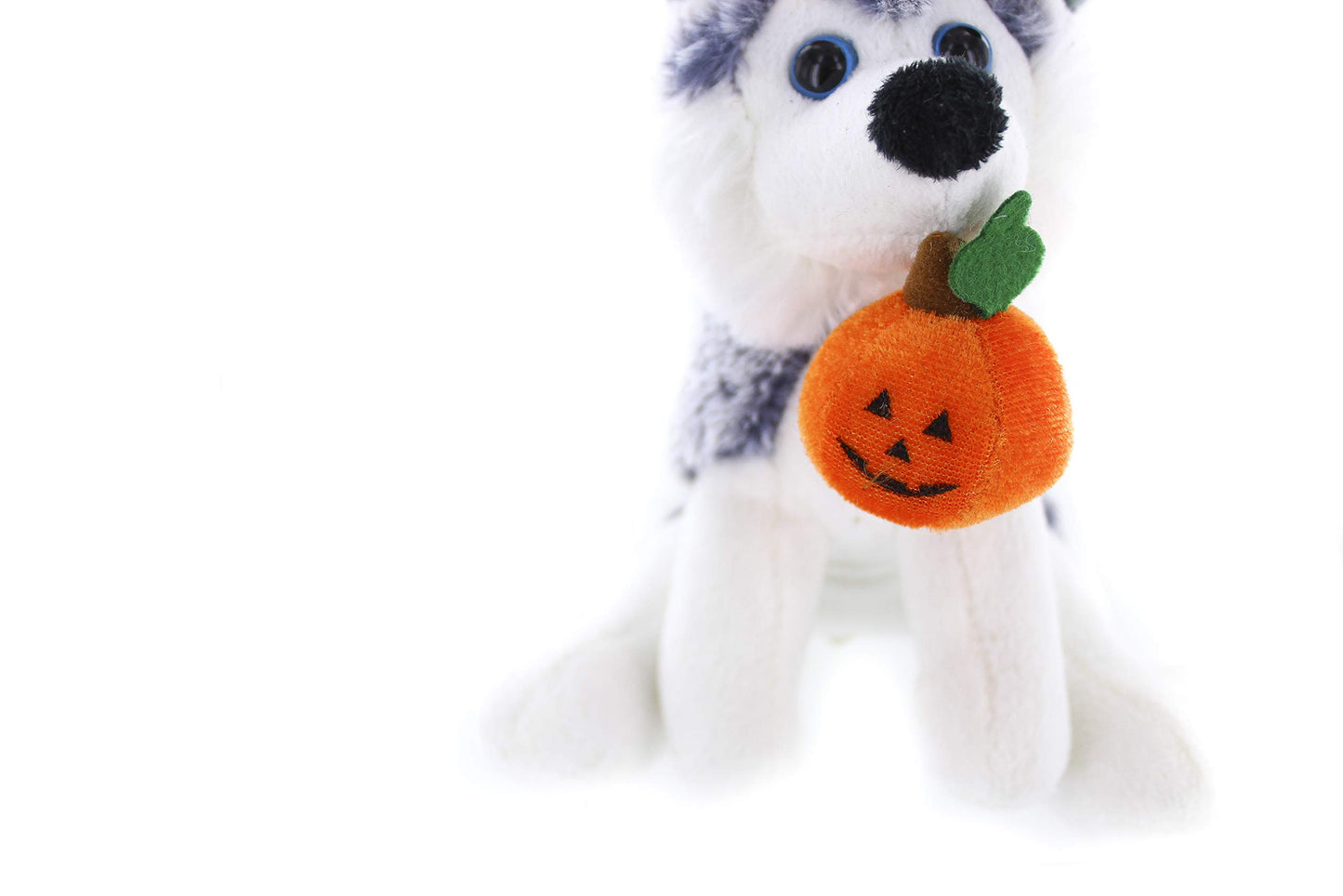 Plushland Halloween Pawpals 8 Inches Puppy Dog Plush Stuffed Toy Comes With Hat And Halloween Jack O Lantern - Pumpkin For Kids On This Holiday (Husky)