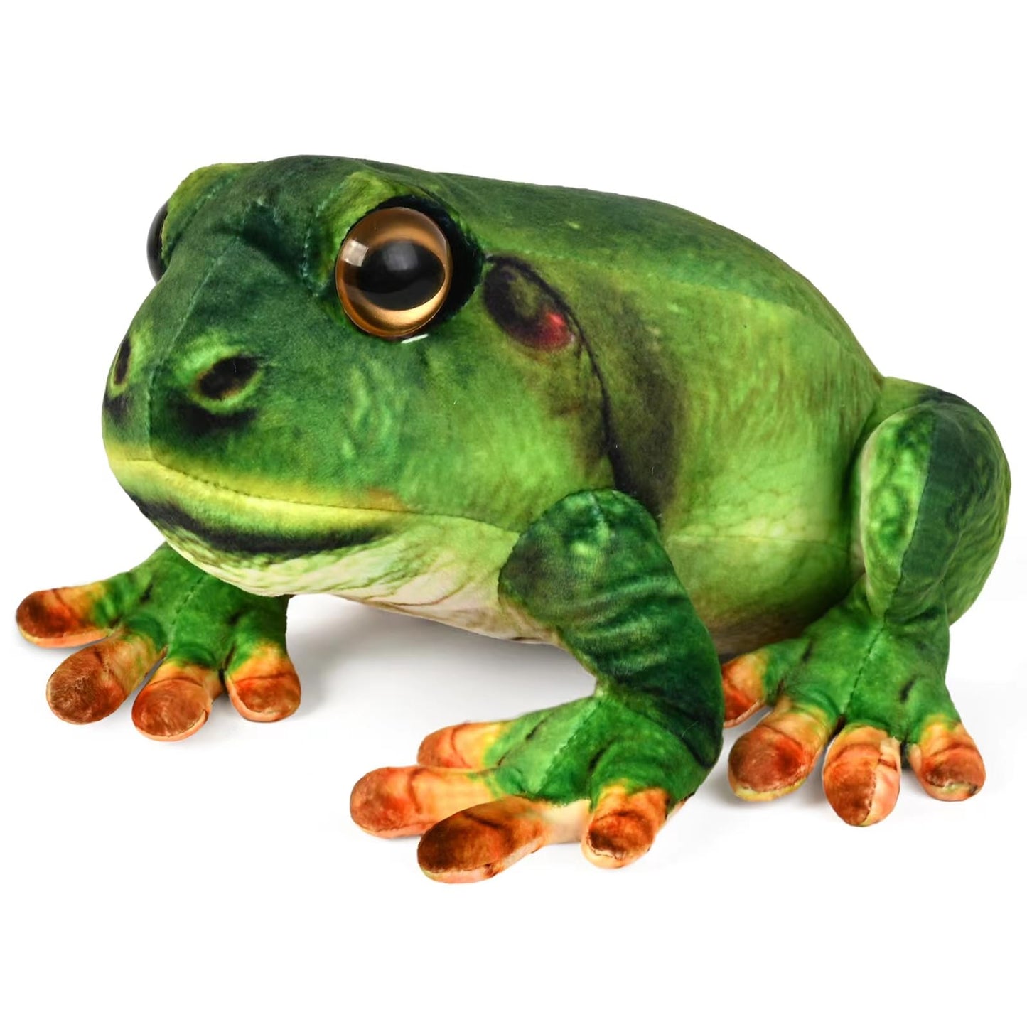 Madzee Plush Realistic Frog Stuffed Animal Toy 9 Inches, Soft Plushie Christmas Birthday Gifts For Boys Girls Kids Toddlers