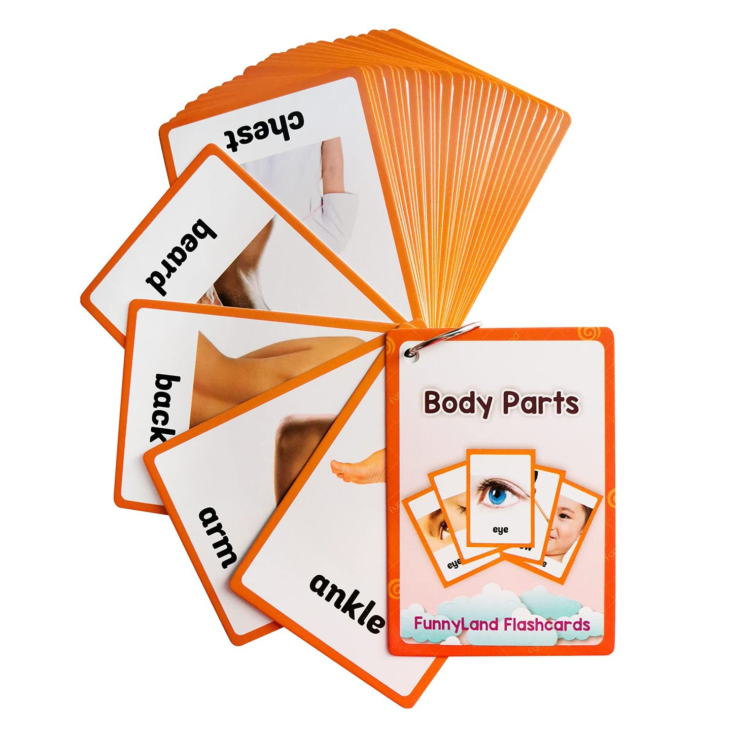Lilias Body Parts Flash Cards, Toddler Learning Toys, Preschool Learning Toys, Homeschool Supplies, Learning Supplies For Kindergarten, 4.3 X 3.14 Inch, 34 Cards In Set