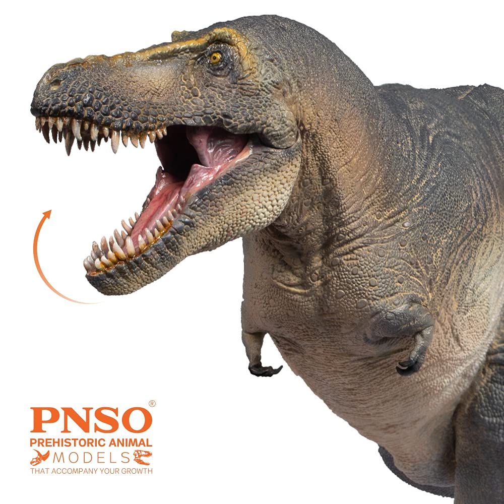 PNSO Prehistoric Dinosaur Model - 51 Chuanzi The Tarbosaurus, Plastic Material, Realistic Design