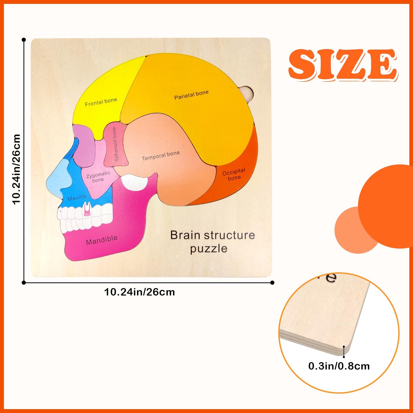 Wooden Brain Anatomy Puzzles For Kids, Toddler Montessori 16 Pieces Brain Structure Puzzle, 3-Layer Human Brain Parts Learning E