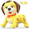 Lipoliftco Remote Control Robot Dog Toy, Interactive Robot Dog Toys For Kids With Music, Led, Rechargeable Robot Pet, Auto Demo