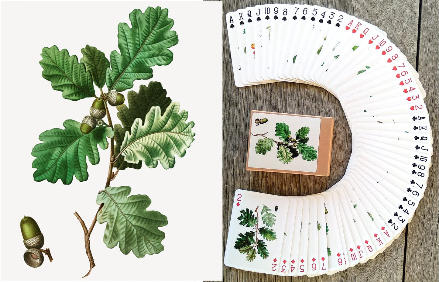 Flonzgift Trees And Leaves Playing Cards (Poker Deck 54 Cards All Different) Vintage Antique Botannical Books Illustration By Pi