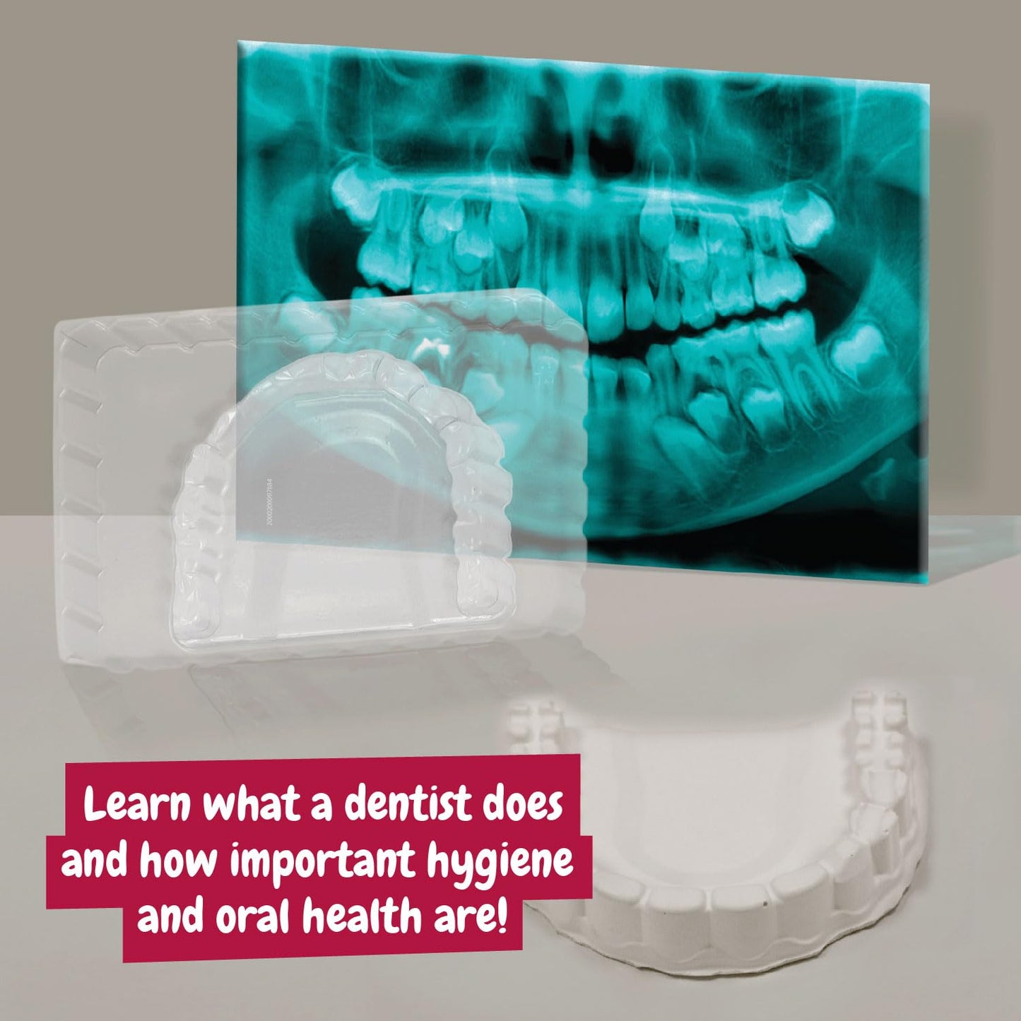 Science4you Dentist Kit for Kids - Dentist Toys for Kids + Doctors Kit with 10 Activities, Doctor Set with Dentist Games for Chi