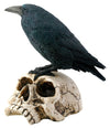 Raven On Skull Collectible Bird Crow Skeleton Figurine Statue Model