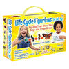 Insect Lore Life Cycle Figurines Set - 24 Pc, Includes Butterfly, Ladybug, Frog, Honey Bee, Ant, Praying Mantis, Plastic, Model 2205