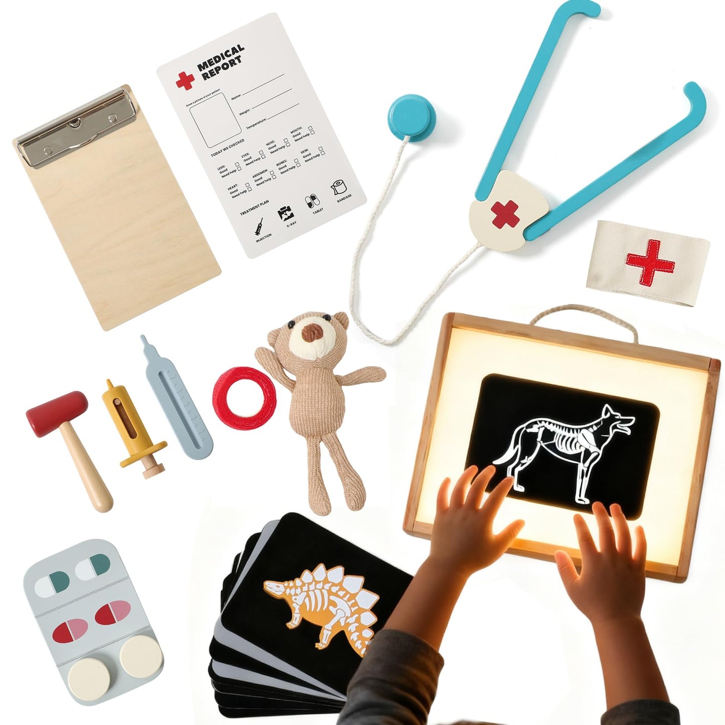 Kids Vet Doctor Kit & STEM Toy | Learn Animal Anatomy with Stethoscope, Organ/Muscle Models, X-Ray Cards | Interactive Pretend P