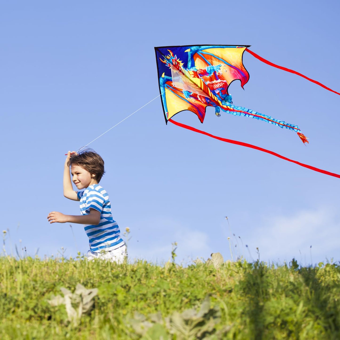 HONBO Dragon Kites for Adults - Easy to Fly Large Kites for Kids ages4-12,Beginner Kite with 200ft String & Storage Bag,