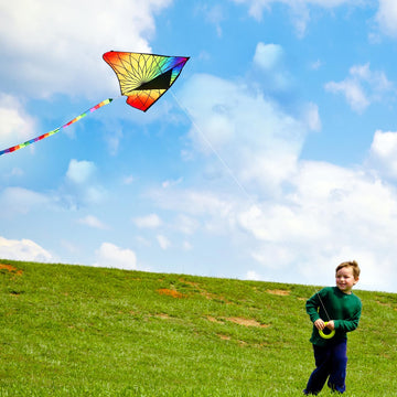 HONBO Giant Bloom Kite for Kids & Adults, Beginner Kites for Kids Ages 4-8, 8-12, Easy Flying Beach Kite, Outdoor Toy, for Boys