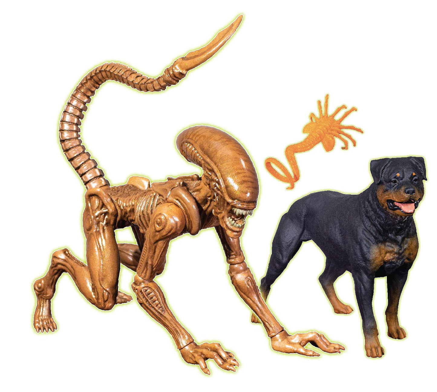 Alien Collection Special Edition - Xenomorph Runner - Fully Poseable Figure 7 Inch