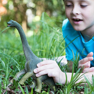 Schleich Brachiosaurus Dinosaur Toy - Realistic 9.5" Green Figure - Durable Plastic - Educational Fun for Kids 4+ | Model 14581
