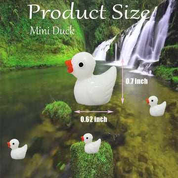 Pack Of 36 Tiny Ducks Little Plastic Duck Mini Resin Ducks For Garden Decorations, Dollhouse Miniatures, Crafts Ornaments(White)