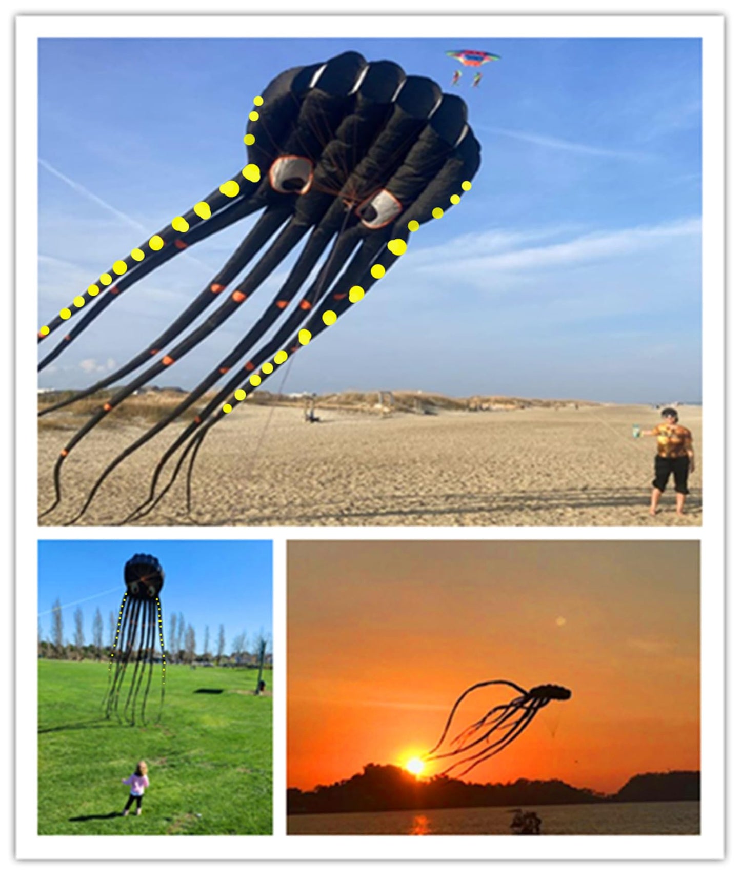 APZ Sky Visitor 3D 26ft Ultra Large & Fun Octopus Foil Kite with Handle & Line, Giant Kite for Adults and Kids, Boys Girls, Beac