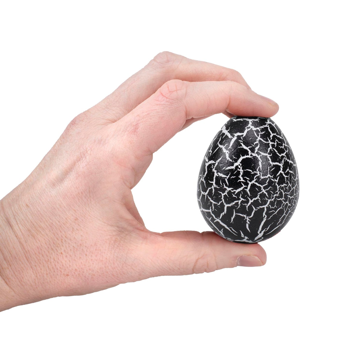 Class Collections Surprise Growing Dragon Hatch Egg Kids Novelty Toy - Pack Of 4, Black And Brown