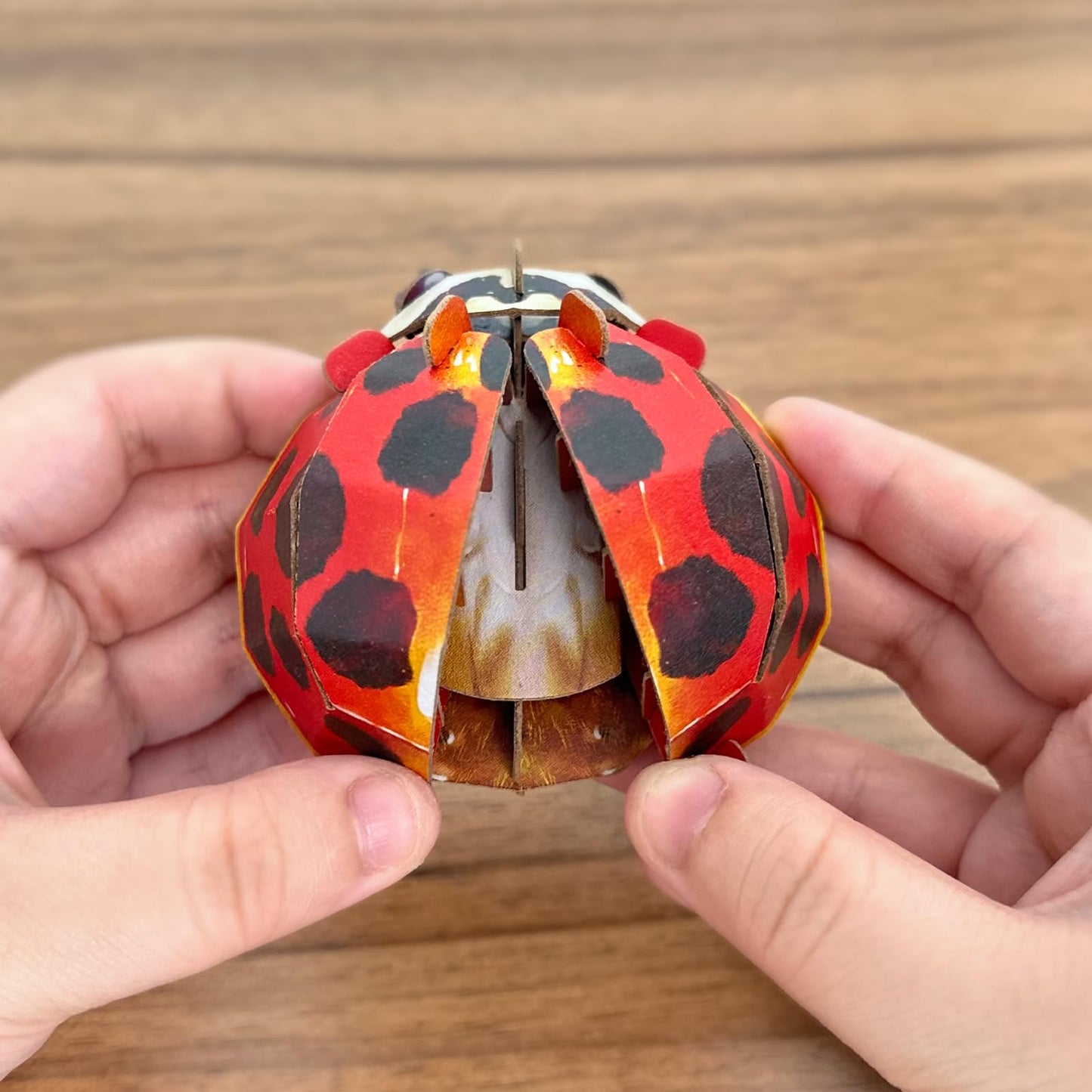 Makebug Early Educational Toys And Games, Eco-Friendly Stem Activities And 3D Paper Puzzles For Autistic Kids-Ladybug (Ages 7 An