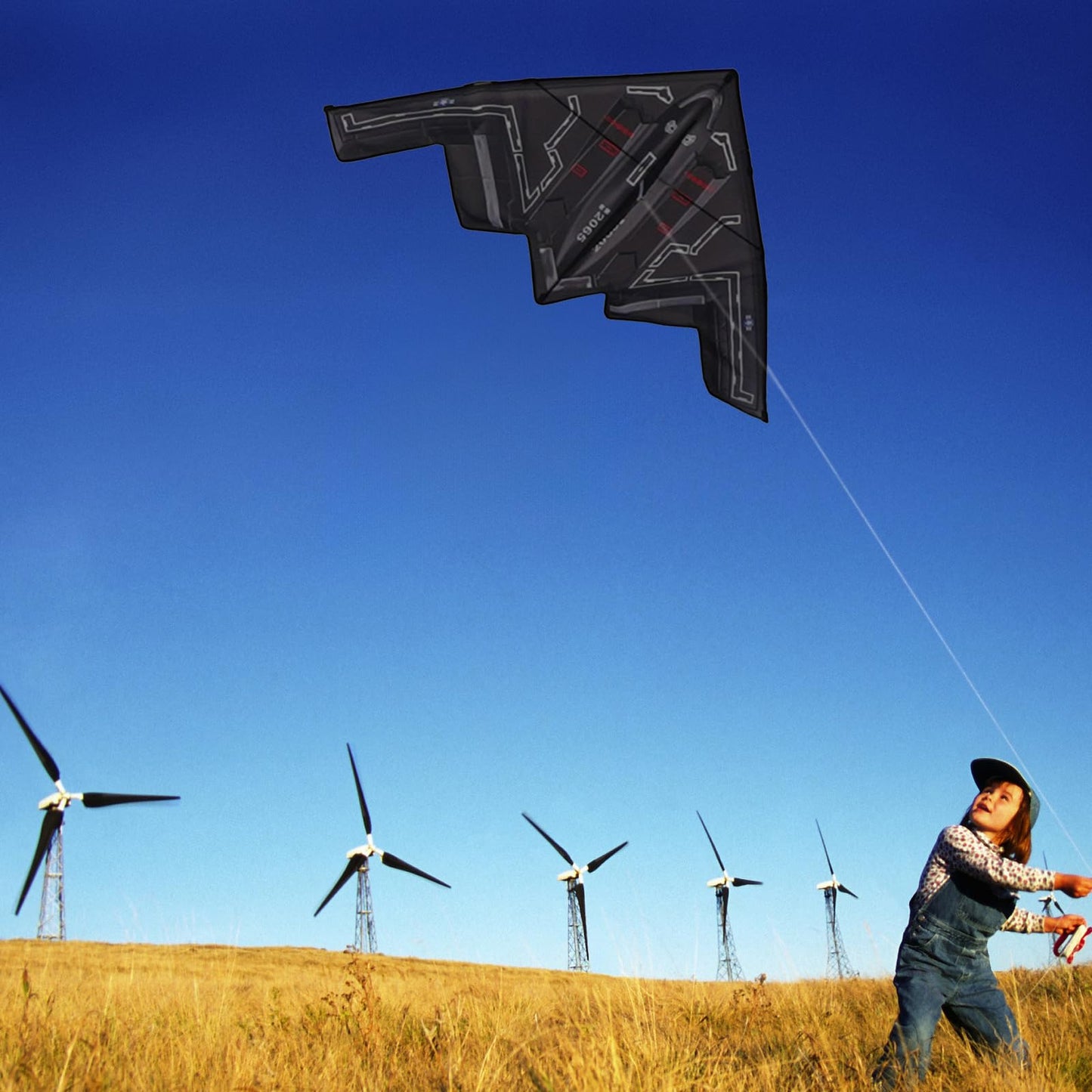 Hengda Kite Airplane Kite,For Kids And Adults,Easy To Fly,Excellent Fabric And Structure Design,The Pictures Are Beautiful In Hi