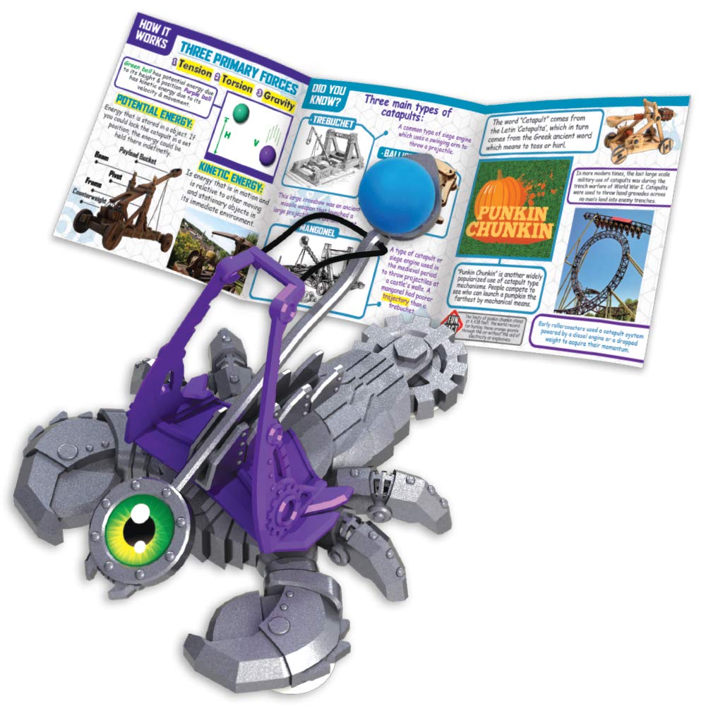 Tara Toys STEM Projects Catapult Launcher - Model 31548, Paper & Plastic, Engaging Educational Toy for Kids