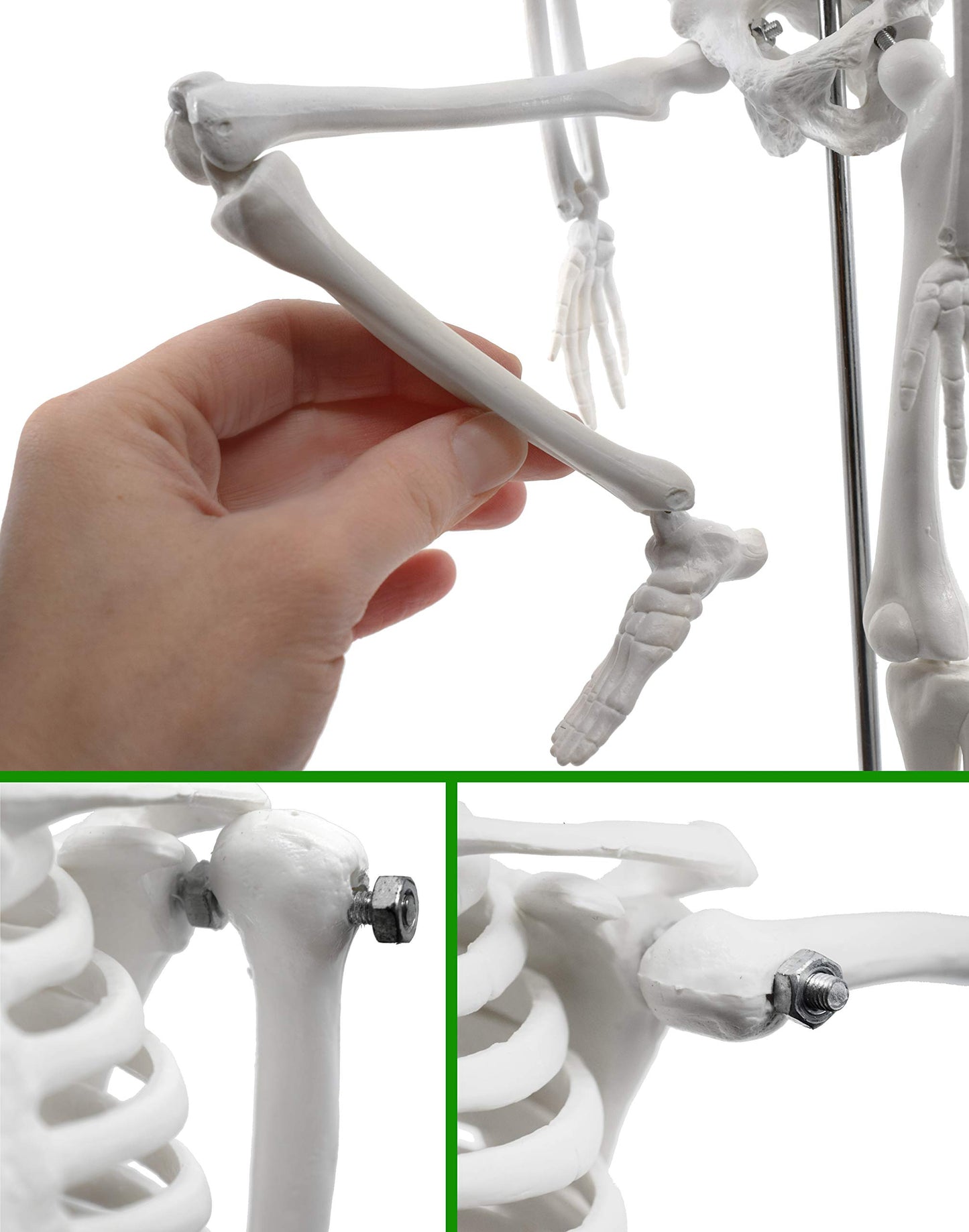 Hbarsci Dead Elf In The Lab - 17' Miniature Skeleton, Santa Hat & Christmas Coal For Scientist, Lab Tech, Lab Manager Teacher