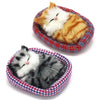Coolayoung 2Pcs Sleeping Cat In Pet Pad Doll Toy, Mini Kitten In Pet Pad With Meows Sounds Decor For Office Desk Hand Toy Gift F