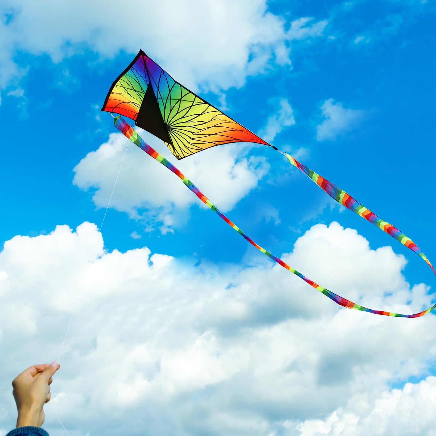 HONBO Giant Bloom Kite for Kids & Adults, Beginner Kites for Kids Ages 4-8, 8-12, Easy Flying Beach Kite, Outdoor Toy, for Boys