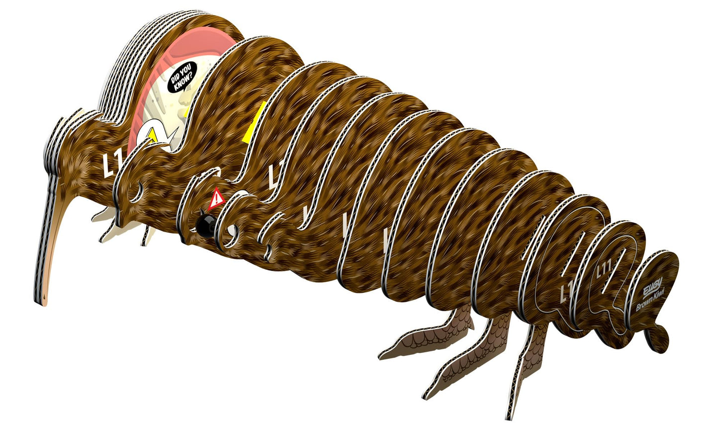 Eugy Brown Kiwi 3D Puzzle, 24 Piece Eco-Friendly Educational Learning Puzzles For Kids 6+