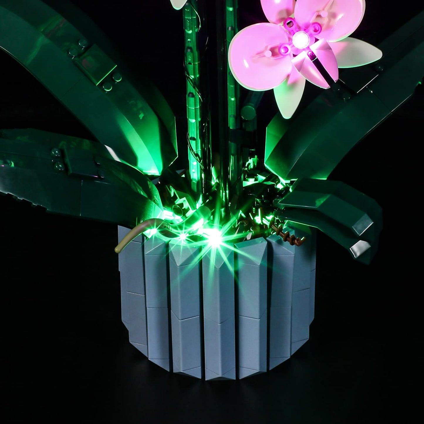 Lightailing Led Lighting Kit For Lego- 10311 Orchid Building Blocks Model - Led Light Set Compatible With Lego Model(Not Include Lego Model)