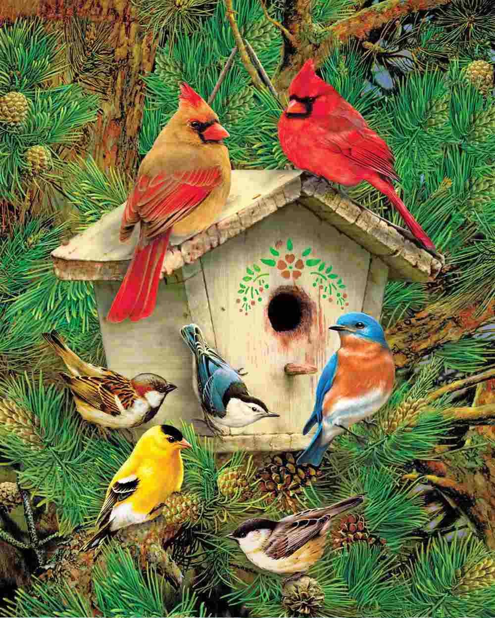 Springbok'S 1000 Piece Jigsaw Puzzle Feathered Retreat - Made In Usa