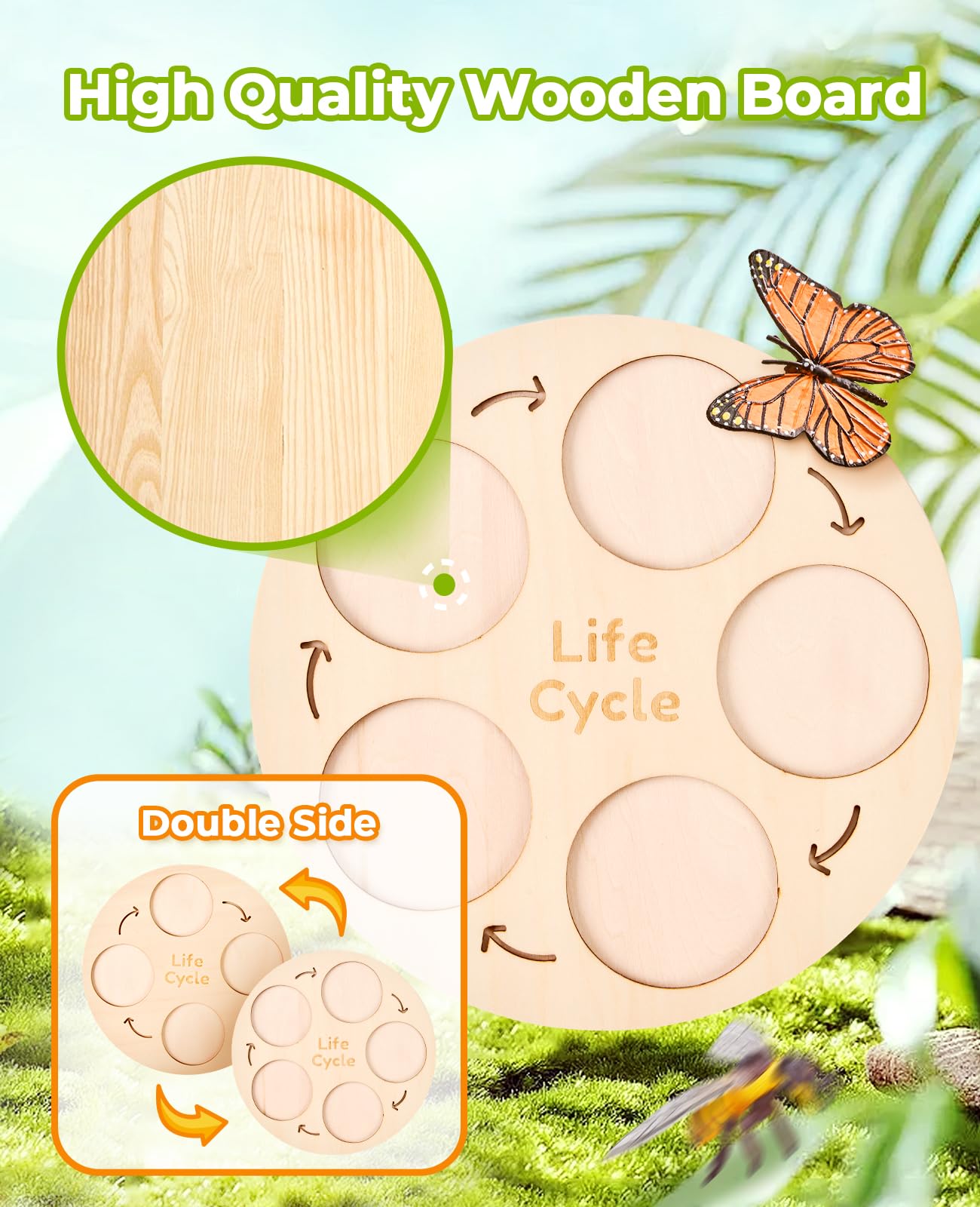 Joycat Life Cycle Learning Education Toys, Insect Caterpillar To Butterfly Kit, Ladybug, Bee, Tadpole To Frog Kit Life Cycle Toys For Kids, Preschool Learning Activities For Age 3 4 5 6 7 8