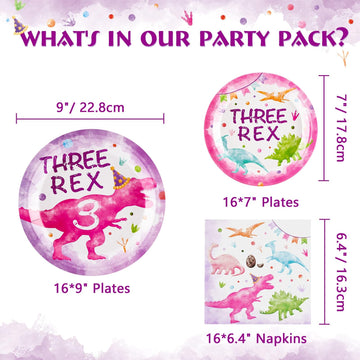 Wernnsai Dinosaur Party Tableware Set - 48 Pcs Watercolor Dinosaur Pink 3Rd Birthday Party Supplies Bundles For Girls Disposable Three Rex Plates And Napkins Dino Party Decorations Serves 16 Guests