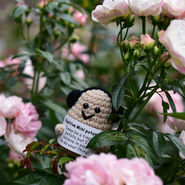 Qyqkfly 1 Pcs Mini Cute Funny Positive Life Bunny Creative Knitted Animal Holding Card Crochet Easter Birthday Christmas Girls G