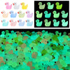 220Pcs Luminous Mini Tiny Resin Ducks Plastic Small Duck Bulk, Glow In The Dark Tiny Ducks For Garden Micro Landscape Ornament D