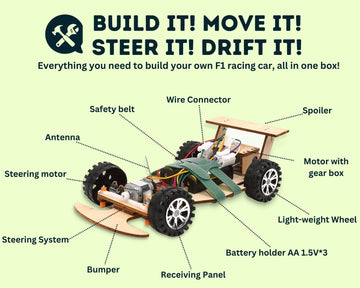 Pica Toys Wooden Wireless Remote R/C F1 Racing Car Science Kit To Build (Racing Pack Of 2), Educational Stem Project Science Kit