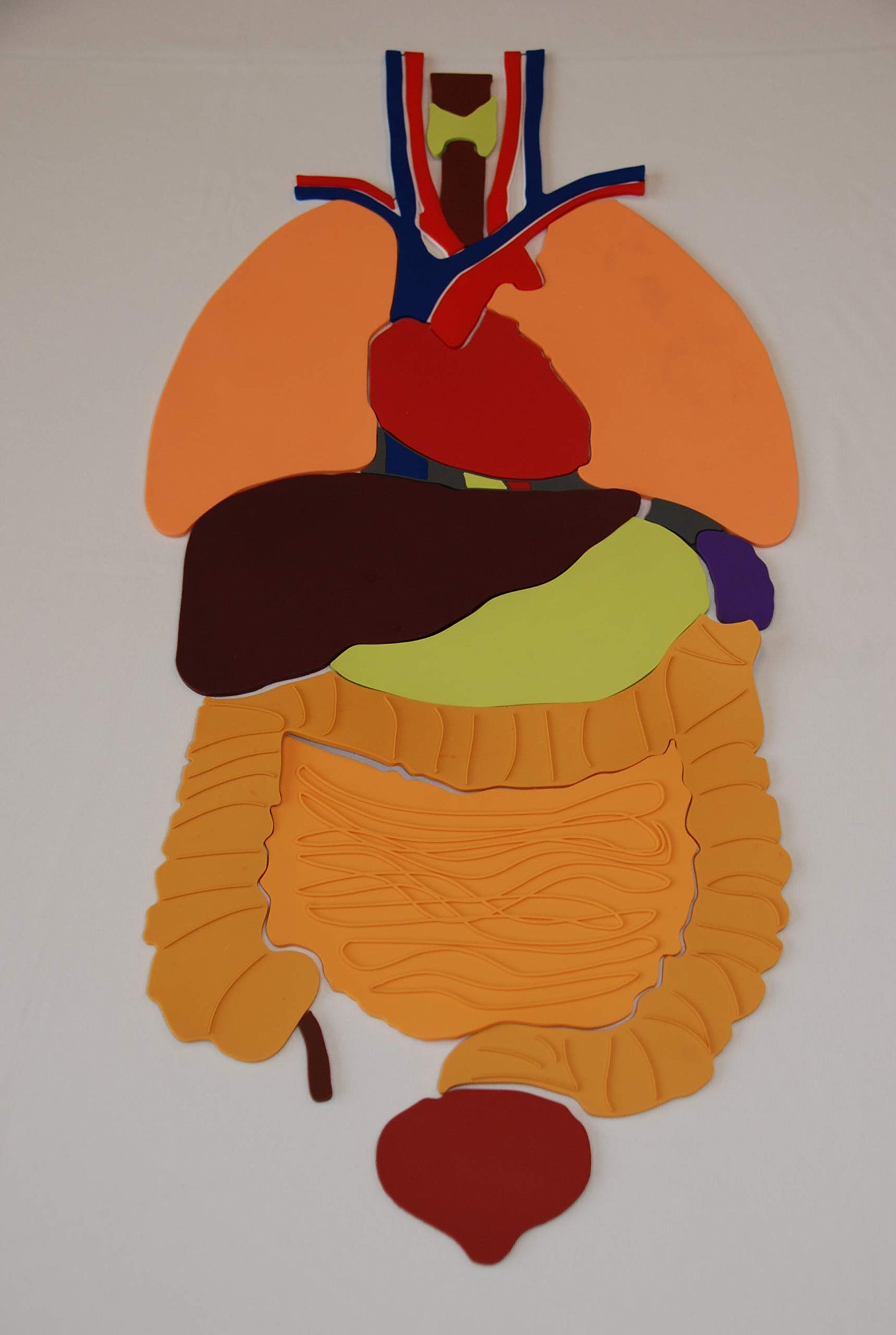 Everrich Organs Puzzles - 27.56' X 13.6' X 4 Mm