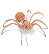 Puzzled 3D Puzzle Black Widow Spider Wood Craft Construction Model Kit, Fun & Educational Diy Wooden Toy Assemble Model Unfinished Crafting Hobby Puzzle To Build & Paint For Decoration 27 Pieces Pack