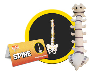 GIANTmicrobes Spine Plush - Funny Back Surgery Recovery Gift, Neurology & Chiropractor Model, White Spine Surgeon Toy