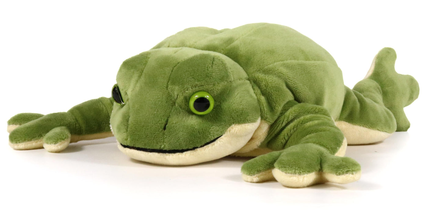 Ice King Bear Green Frog Plush Toy - 8 Inches Small Stuffed Animal for Zoo Family Collection