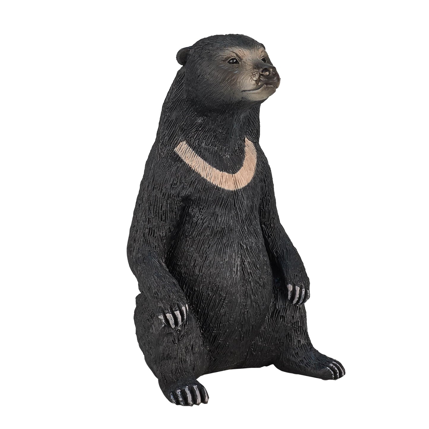 Mojo Sun Bear Realistic International Wildlife Hand Painted Toy Figurine