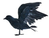 Worth Imports 10'' Feathered Crow, Black