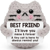 tGifGLonyi Friendship Gifts for Best Friends, Grey Spandex Decor, 2.8"x2.5"x2", Birthday & Christmas Stocking Stuffers, Model CAT003