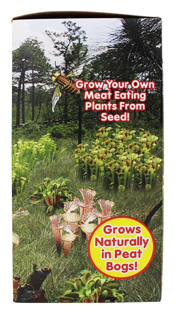 Dunecraft Carnivorous Creations Dome Terrarium