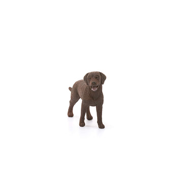 Schleich Labrador Retriever Dog Figurine, Realistic Plastic Toy for Kids, Multi Color, Ages 3+, Model 13834
