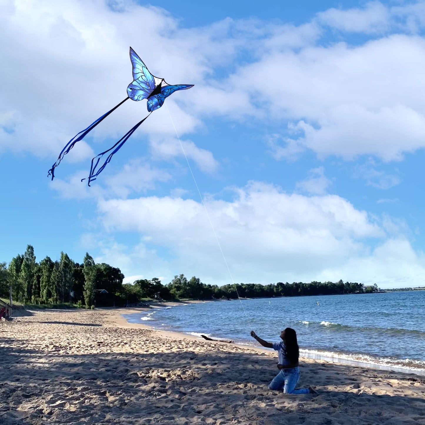 Kaiciuss Butterfly Kite For Kids & Adults, Single Line For Beach Trip, Easy To Assemble For Kids And Beginners, Flying Butterfly Design For Children, It Comes With 300 Ft String Line Handle