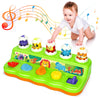 Duchong Interactive Pop Up Toys For 1 Year Old Boy Girl, Montessori Cause And Effect Toys With Music & Light, Early Learning Mus