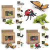 Montessori Life Cycle Learning & Education Toys - Plastic Insect Ladybug, Monarch Butterfly, And Tadpole-To-Frog Kit For Kids, P