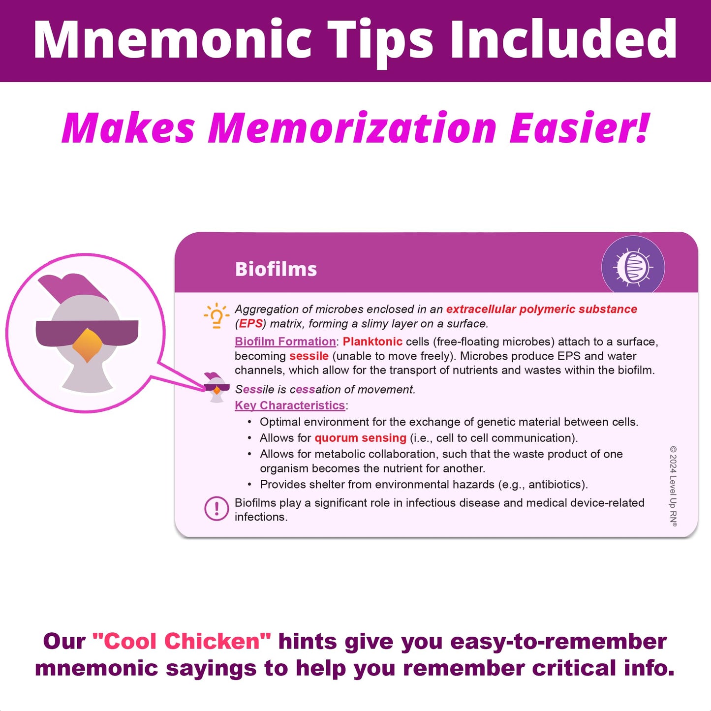 Microbiology Flash Cards - No Fluff - Nursing School Essentials For Students - 2024-2025 Teas Hesi A2 Review Flash Cards (400 Ca